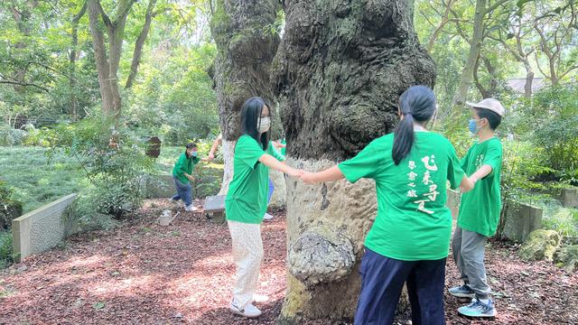 全国首创，杭州西湖飞来峰推出沉浸式疗愈游线