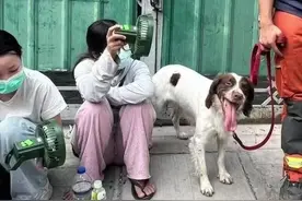 暖心！缅甸受灾群众为香港特区救援队送上平安符图片