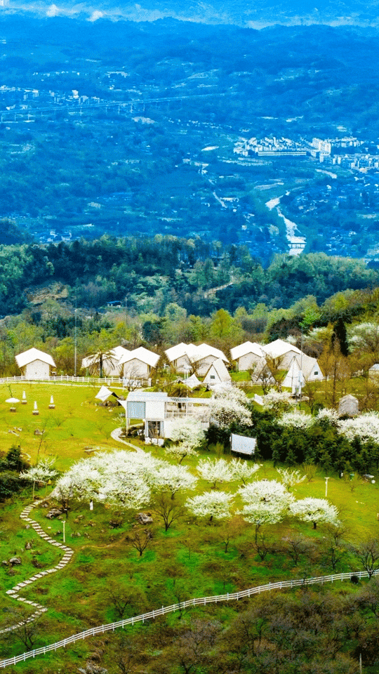 冲破次元壁！大邑“下雪”了