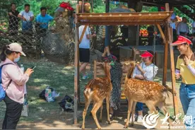 请到沂蒙看金秋 | 国庆遇中秋，临沂景区特色活动合集来啦图片