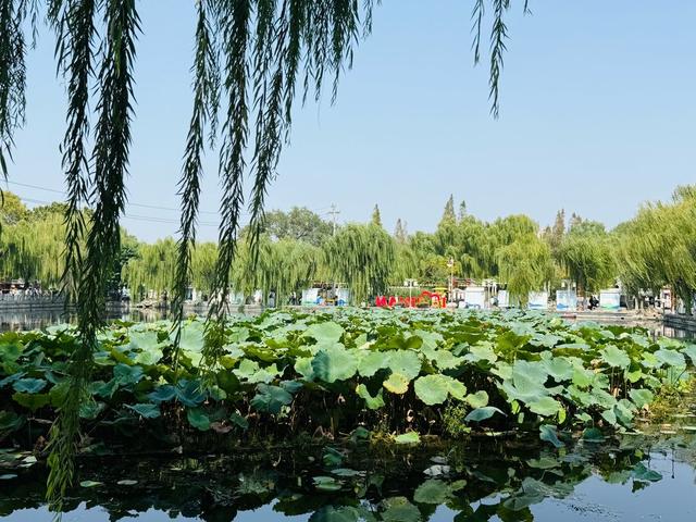 新视界｜从曲水亭到百花洲，“老济南”典型生活场景