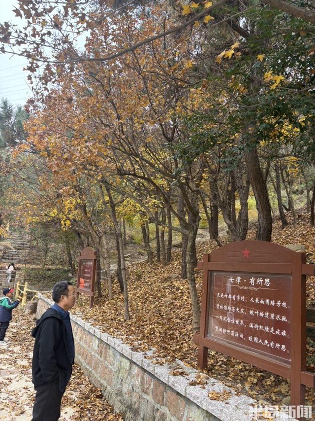登山路上，秋意十足