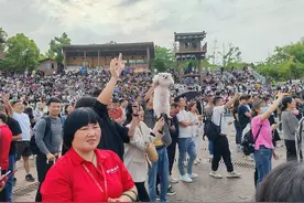 开封王婆武汉首秀：阴雨天游客坐满看台，媒人专程从外地赶来取经图片