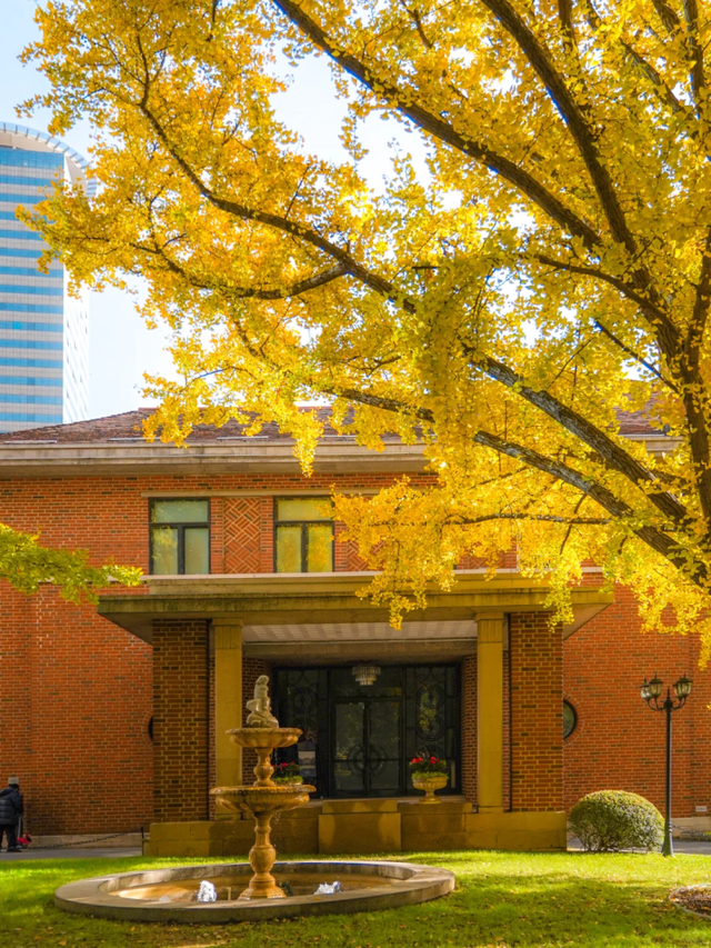 百年银杏+红枫草坪！藏在上海市中心的英式庄园化身现实版秋日童话秘境→