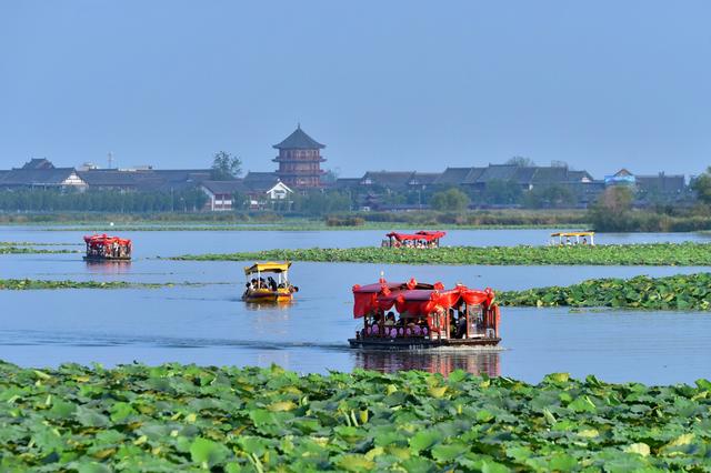 淮阳区：文旅引领 古城焕新聚焦“两高四着力”▪一“县”观察