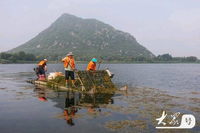 壹点号·秀山东｜山清水秀华山湖，鹊华秋色诗意浓