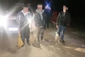 民警深夜蹲点，益阳资阳区近八百只青蛙“死里逃生”图片