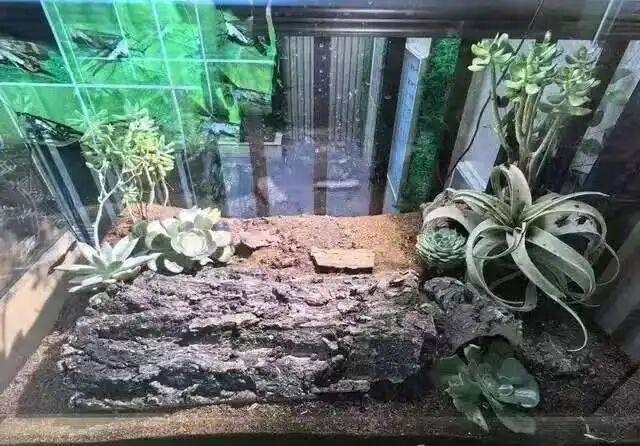 探访博物馆|沈阳农大昆虫博物馆：虫里乾坤 微观绮旅