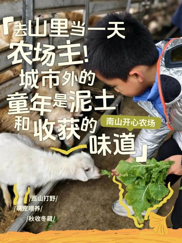 秋冬盛宴来袭，6条宝藏线路玩转杭城！