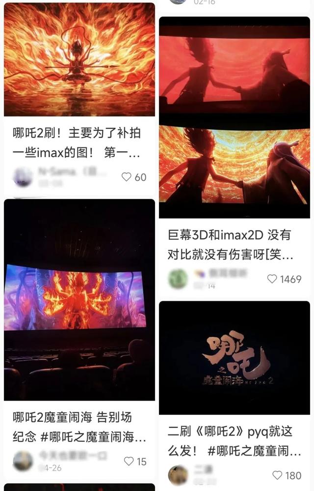 疯狂动物城,疯狂偷拍城