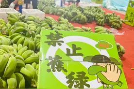 淘工厂日销8万斤“禁止蕉绿”水培香蕉，福建90后返乡创业为300万打工人缓解焦虑图片
