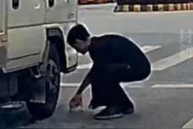 一只小奶猫径直往货车轮下钻，红灯变绿前几秒，他出现了……丨看见正能量图片