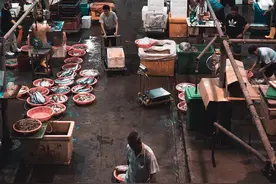 当年风光不再！新加坡27年老渔港月底关闭，所在土地及码头将回归国有图片