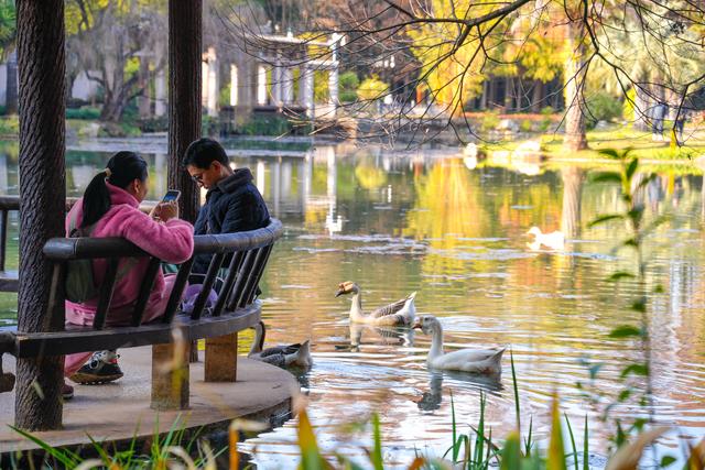 云南昆明：冬日绿意暖