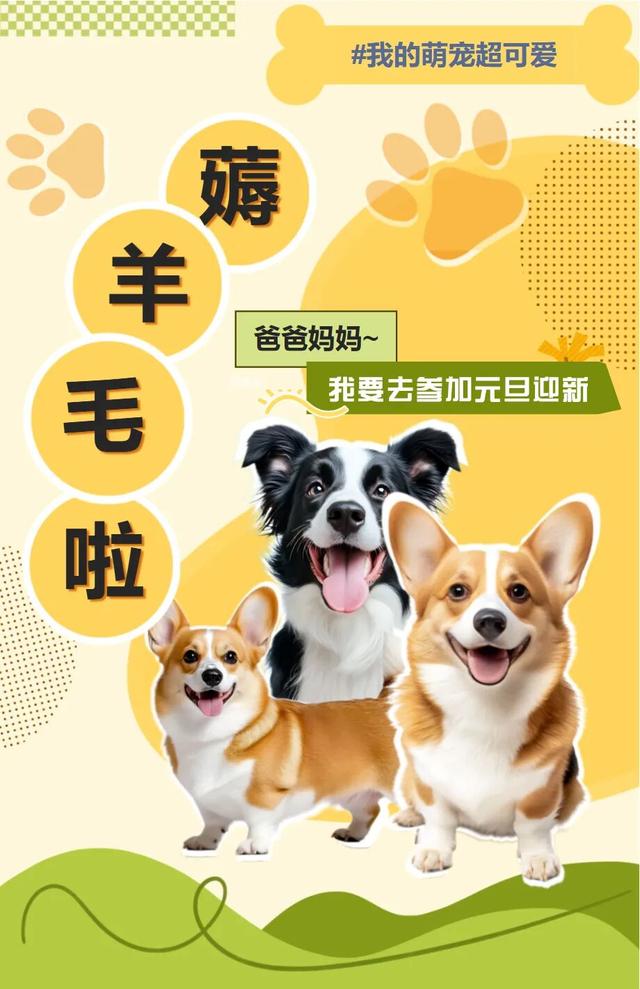 元旦3天狂欢，萌宠+亲子+美食一站打卡