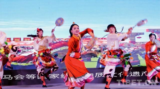 2025年西藏藏西北文旅联盟推介会拉萨站落幕