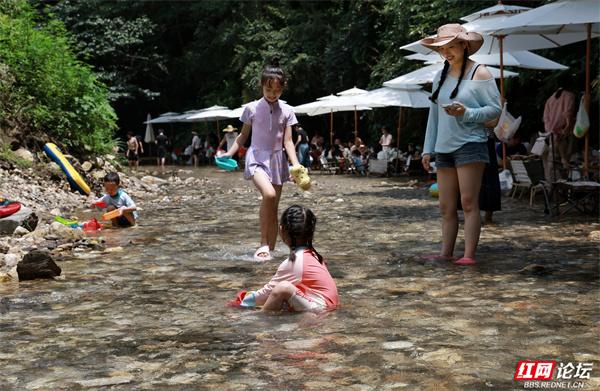 周末出走计划：浏阳深山溯溪营地，承包一整夏的清凉