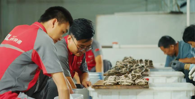从“送得到”到“管得好”，京东物流助力大闸蟹商家构筑品牌护城河
