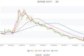 当升科技：2024年上半年净利润2.87亿元 同比下降69.01%图片