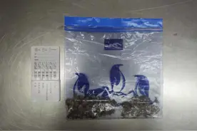 味道太冲……鞋垫之下藏大麻，举止怪异被查获图片