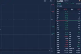 股价放量大跌，山东黄金回应：可能是上半年还有一部分黄金没有出售导致业绩不及预期图片