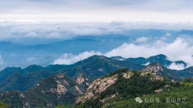 天晴了，雨停了，泰山云海先睹为快