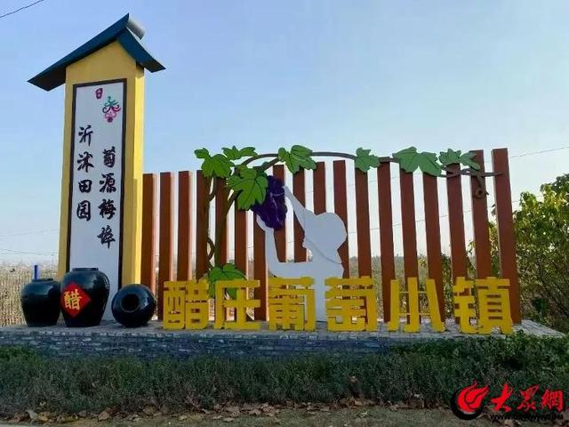 临沂沂河新区第八届葡萄文化旅游采摘节开幕，20余个品种征服您的味蕾