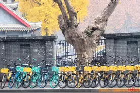 从“围堵车道”到“整齐有序”，华西医院为共享单车整治成果致谢图片