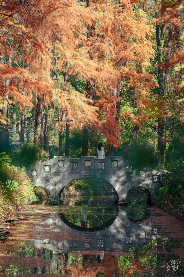 东湖这四处绝美秋景，出片率100%