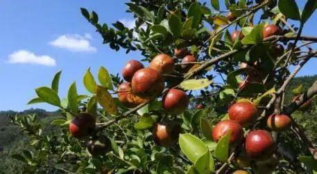 永州朋友到了！明天市中心见！