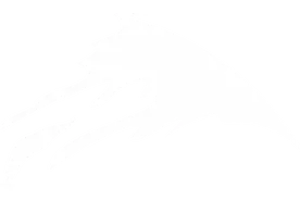 今天六一，大朋友准备带小朋友去哪儿玩？图片