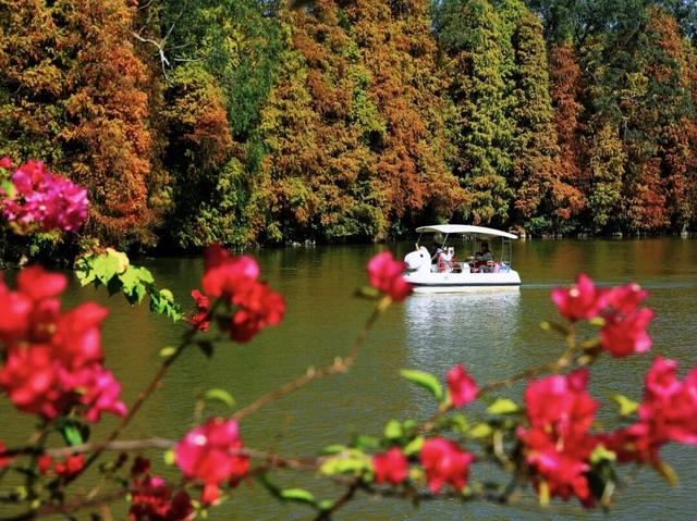 解锁冬日浪漫！来岩前星湖畔，一起走“花路”吧！
