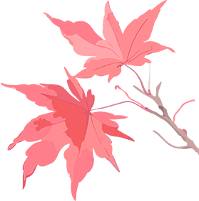 今日立冬|总有一个冬天 要来趟净月潭