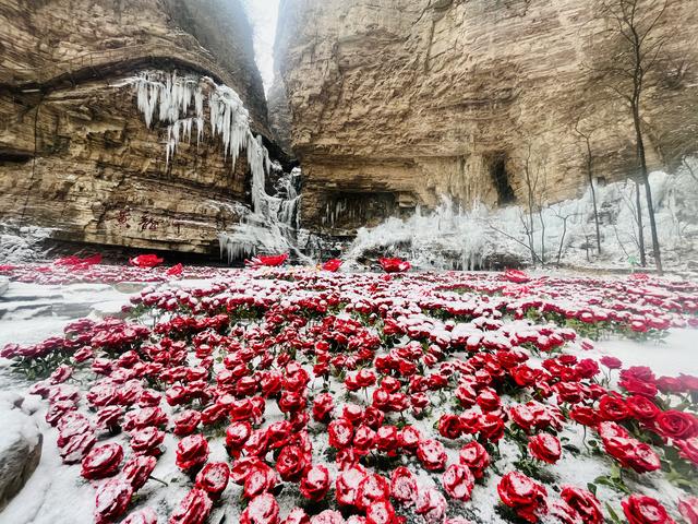 河南文旅雪后盛景：银装素裹绘就“一半仙境，一半人间”画卷