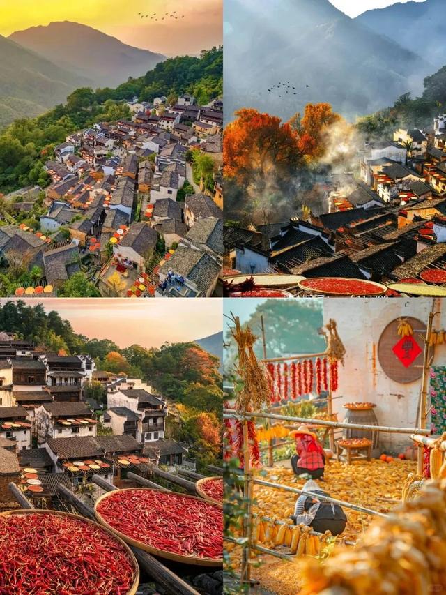 今日立冬 | 鄱湖映霜色，暖食沁人心