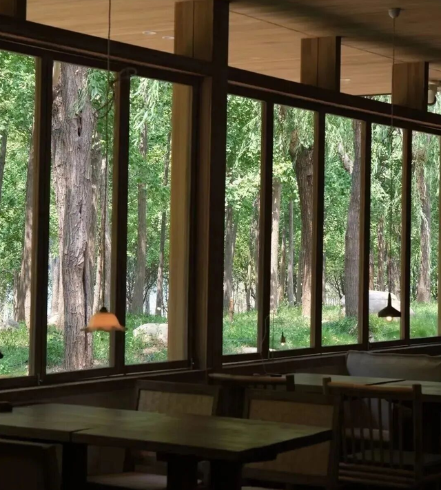 免费逛！郑州这9条特色街区，值得反复打卡→