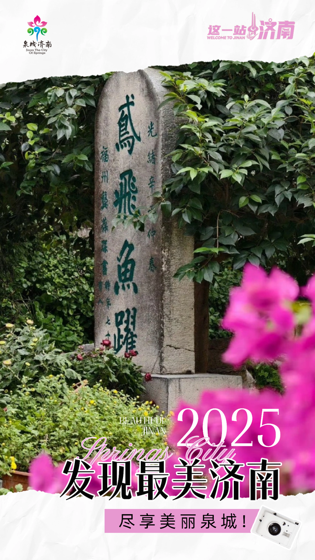 就是这么神奇，济南的初冬一半是秋日一半是夏天！