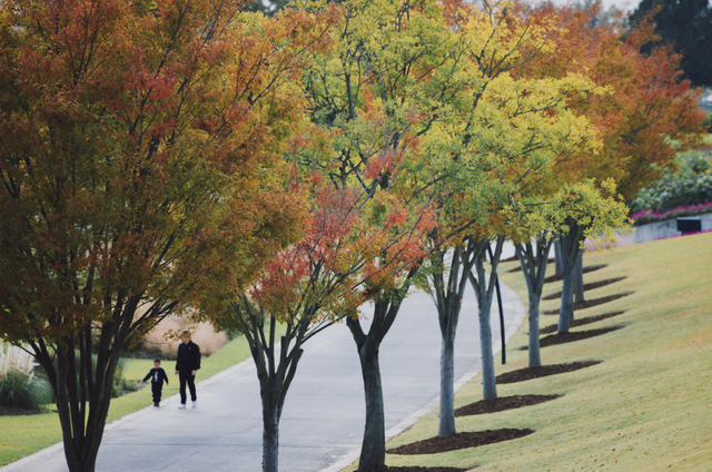 去爬山！这些五彩山林，竟然都在上海！