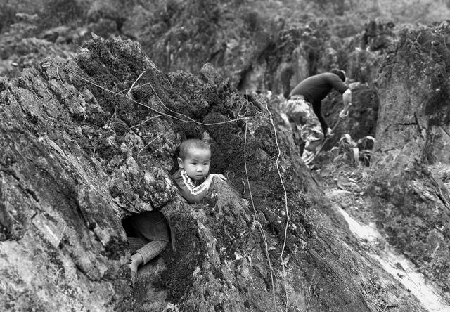 边境上的那一片玉米地