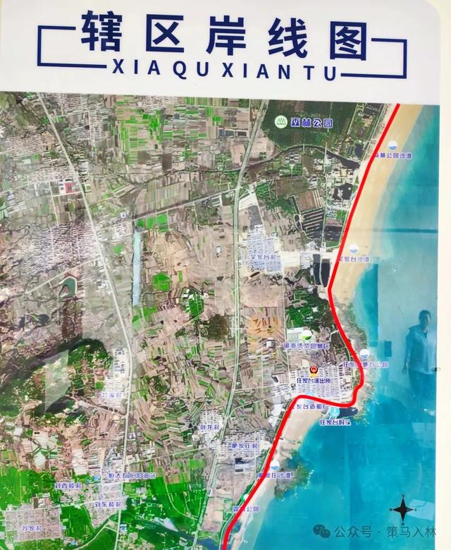 任家台拾贝：一碗“面”，吃的都是“海之恋”