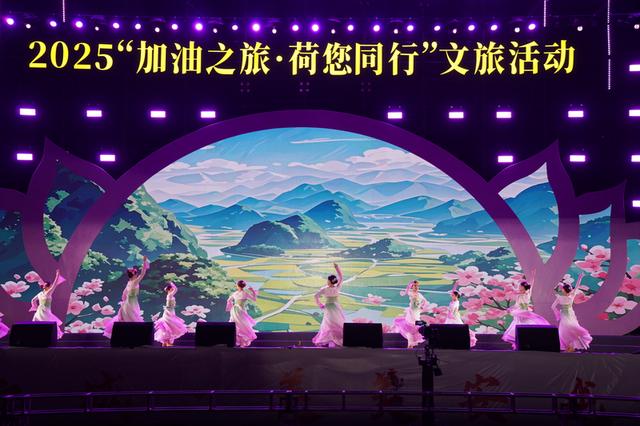 绘就“荷美”新画卷！安龙县：做足“荷”文章