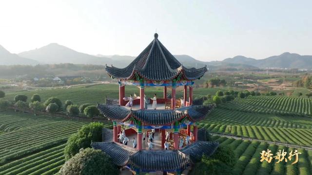 踏歌行丨走进“地球的独生子”的栖息地