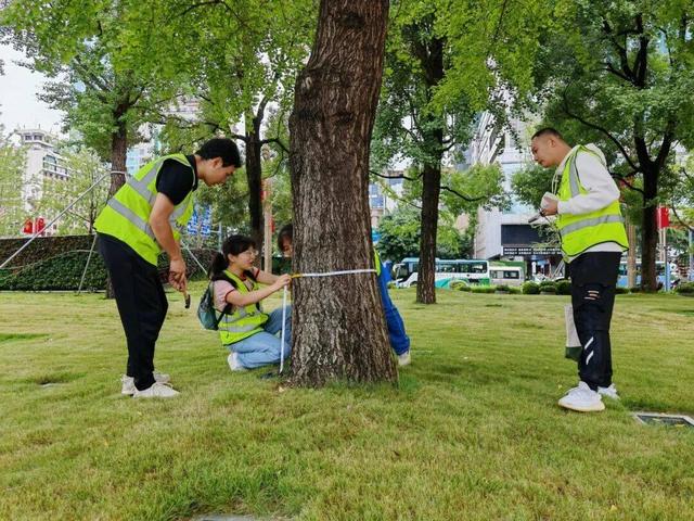 成都天府大道换上双节“限定皮肤”