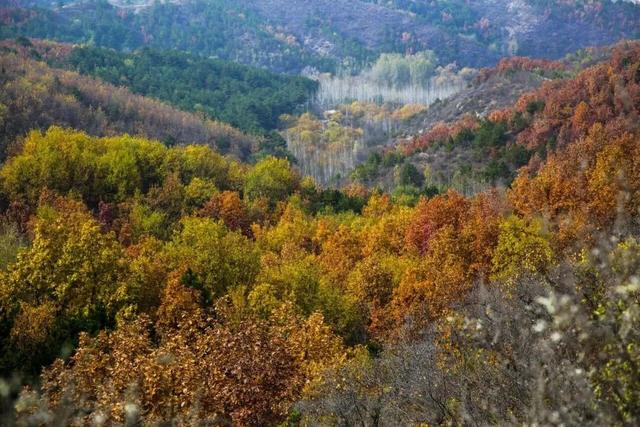 嗨玩怀柔丨南山远眺、栈道徒步，感受五彩斑斓