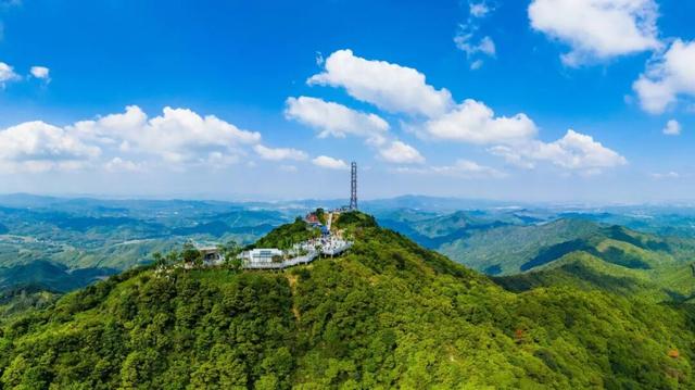 瞒不住了！佛山2条儿童友好路线，搞定娃的精力与好奇心！