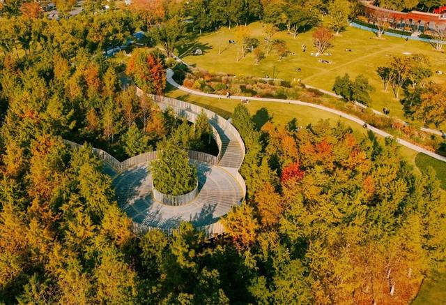 在江汉，听见公园里的秋色私语