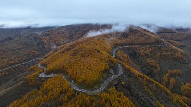 金秋五台山 醉美山色入画来