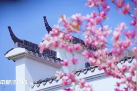 春暖花开四月天，新泾的春景美翻天！图片