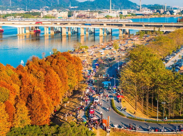 一眼心动的绝美“小森林”，在伦教找到了！