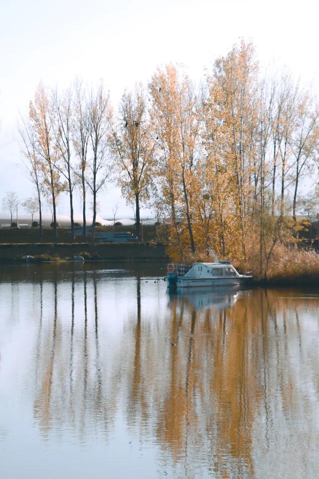 全部免费！西安4个冬日晒太阳好去处！